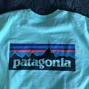 Mens Patagonia Sz Medium Regular fit short sleeve teal T-shit